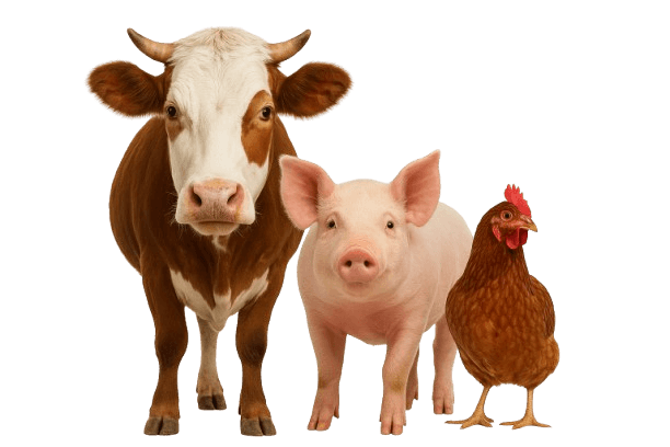 Imo State Ministry of Livestock Development
